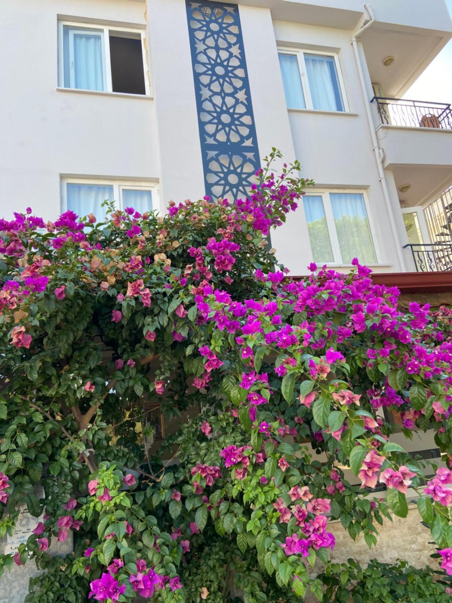 Serenity Suites Hotel Antalya Extérieur photo